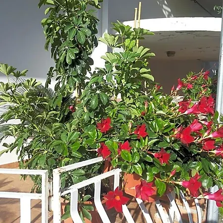 Bed and Breakfast Irma